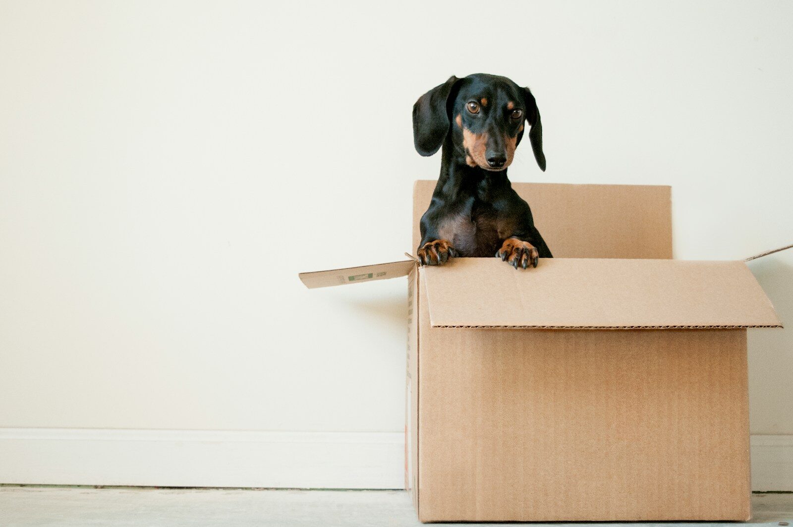moving and estate cleanouts Canyon Crest CA 92507